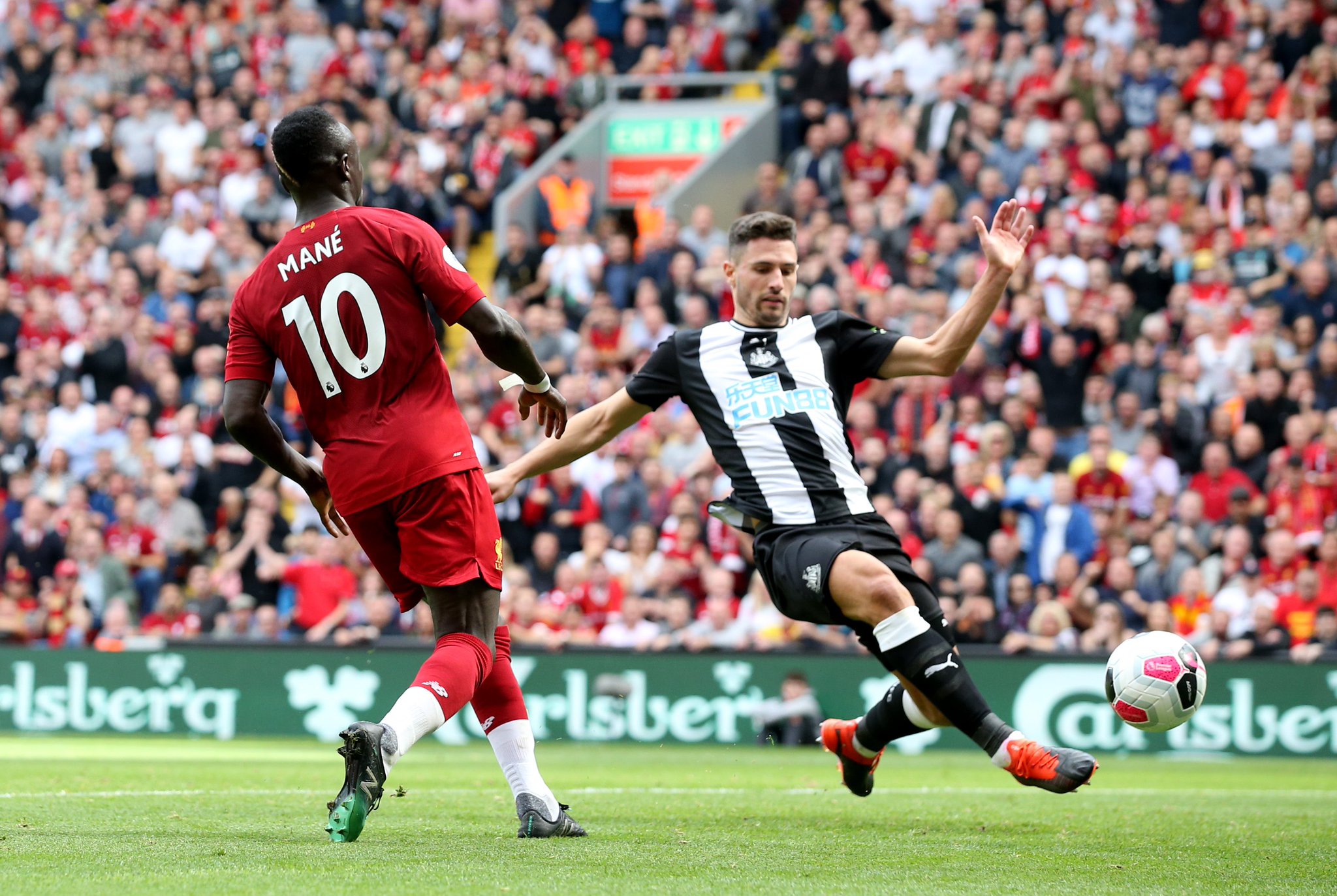 身体的自我 身体的自我