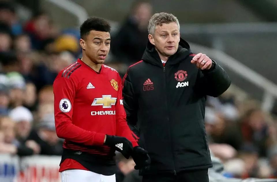 动员的身体 动员的身体